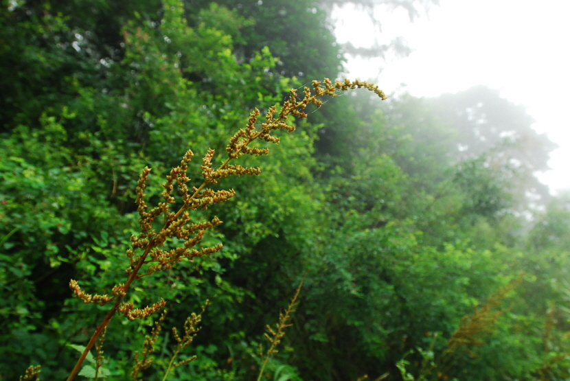 크기변환_DSC_0051.JPG