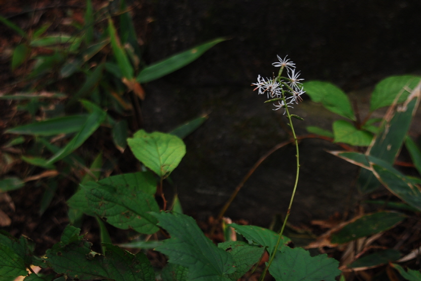 크기변환_DSC_0127.JPG