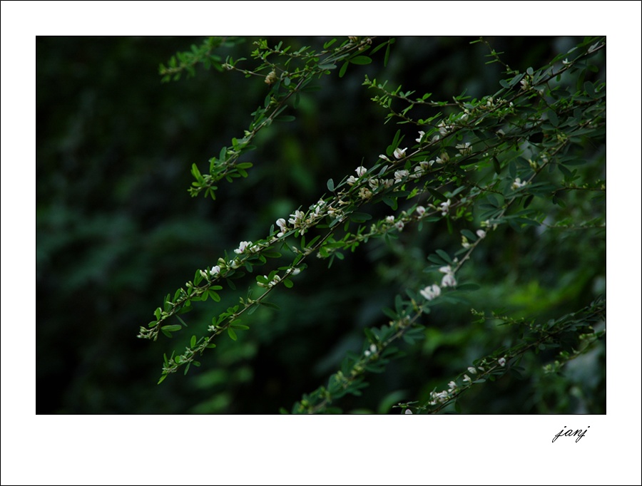 사진 020-1.jpg