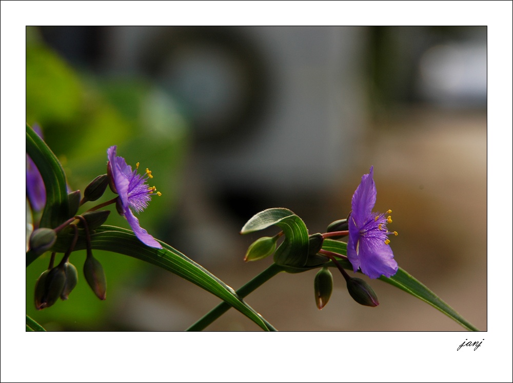 사진 048-1.jpg