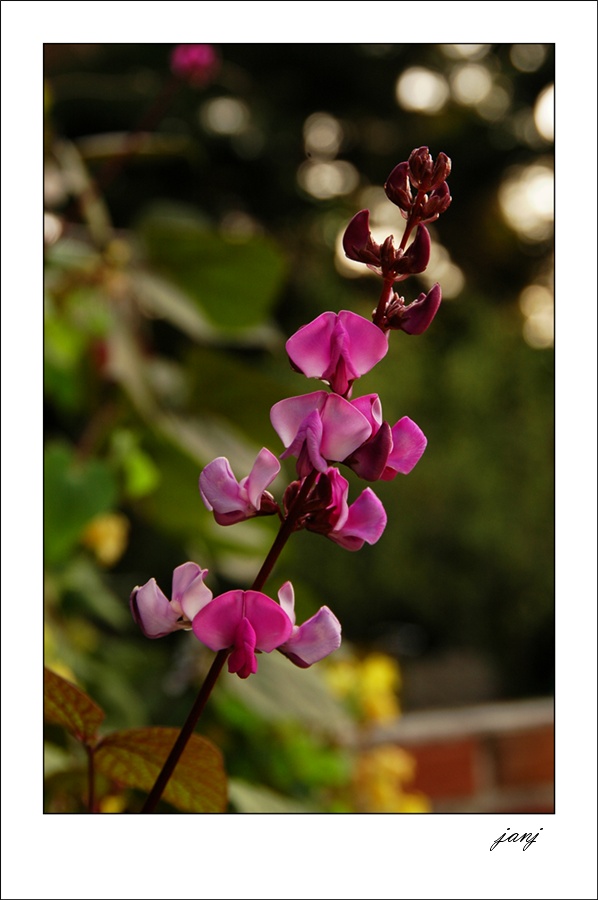사진 054-1.jpg