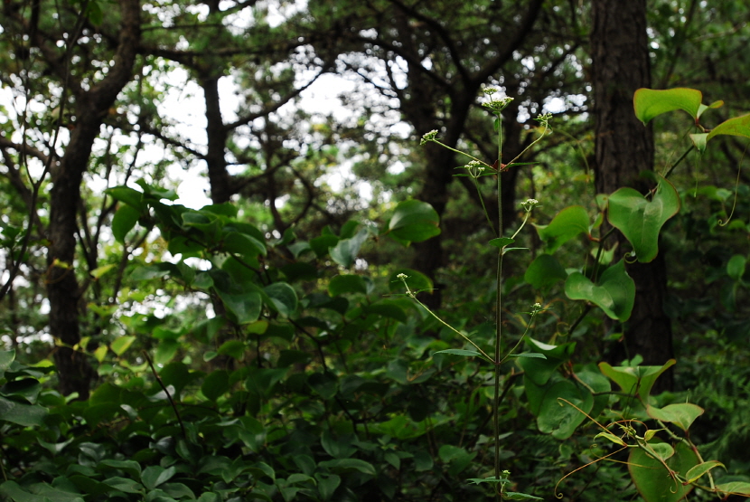 크기변환_DSC_0041.JPG