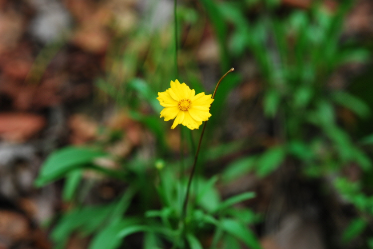 크기변환_DSC_0273.JPG