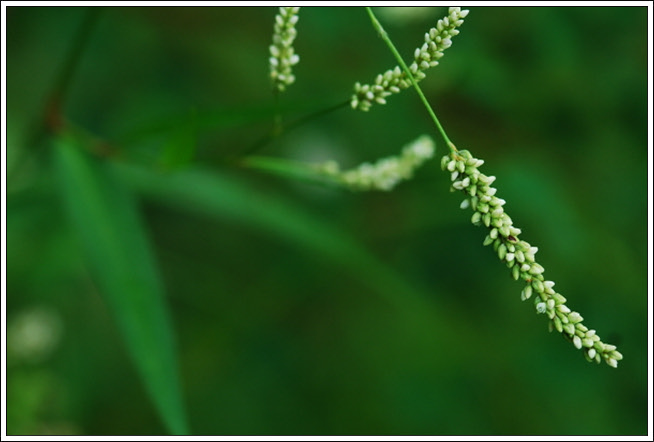 크기변환_DSC_0005.jpg