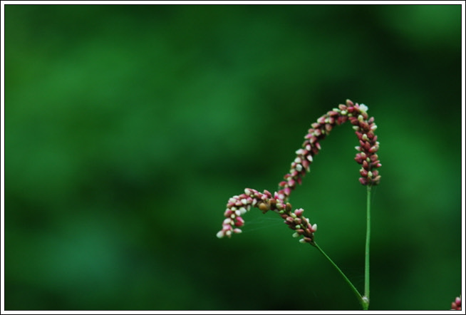 크기변환_DSC_0090.jpg