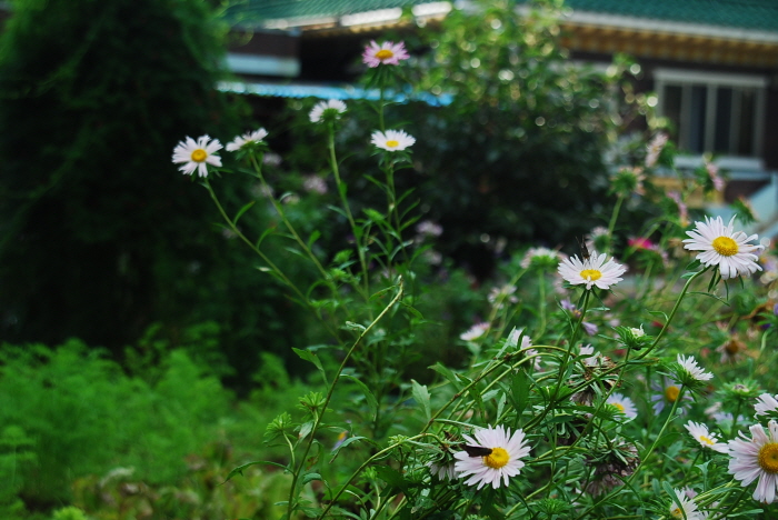 크기변환_DSC_0420.JPG