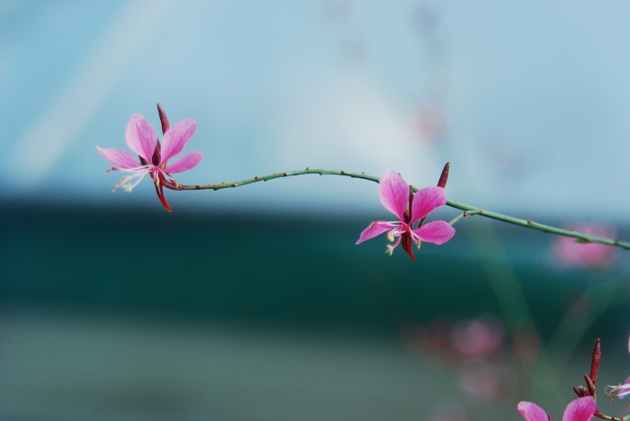 크기변환_DSC_0336.JPG