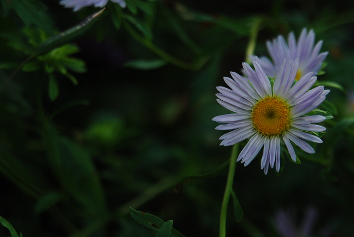 크기변환_DSC_0435.JPG
