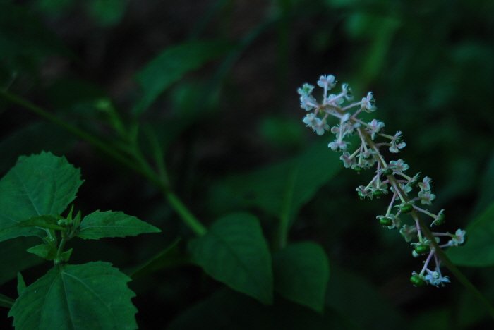 크기변환_DSC_0625.JPG