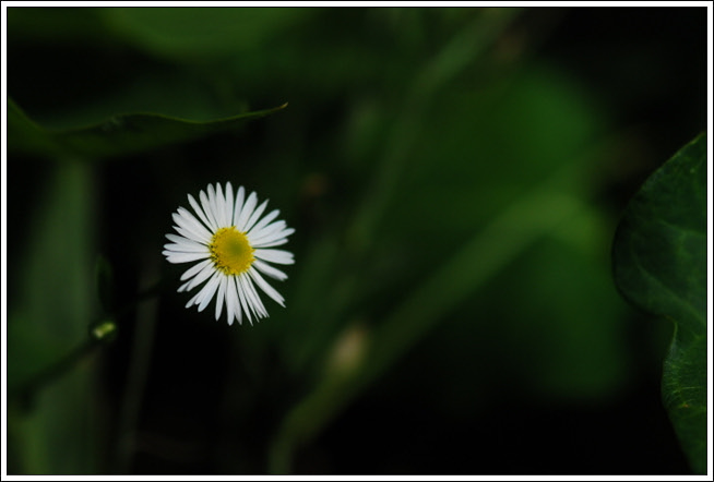 크기변환_DSC_0148.jpg