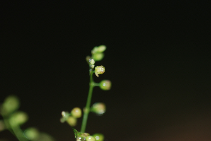 크기변환_DSC_0181.JPG