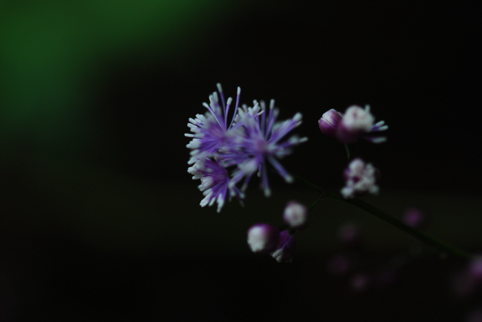 크기변환_DSC_0424.JPG