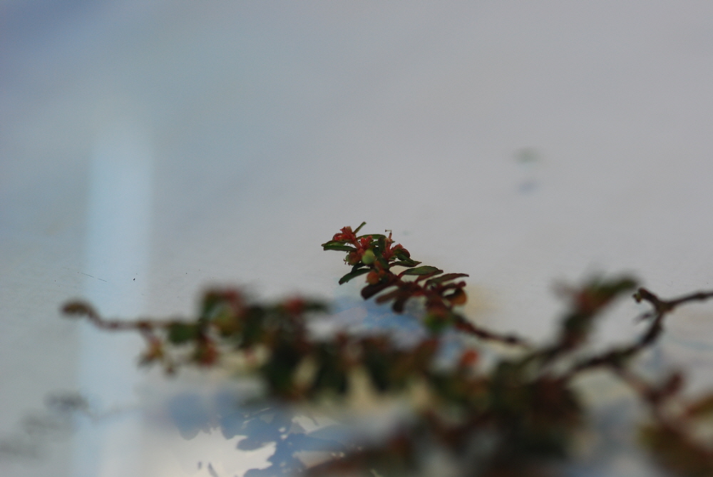 크기변환_DSC_0013.JPG