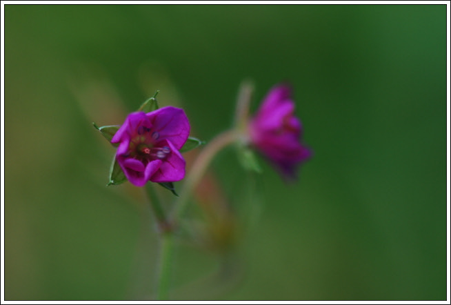 크기변환_DSC_0639.jpg