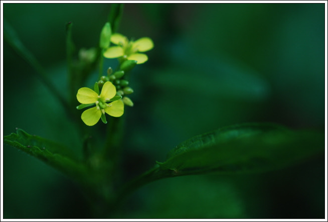 크기변환_DSC_0351.jpg