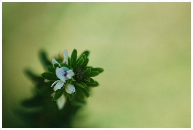 크기변환_DSC_0363.jpg
