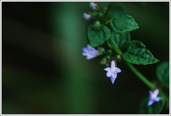 크기변환_DSC_0835.jpg