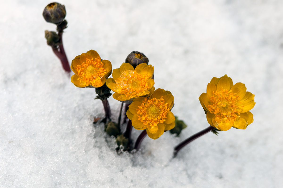 DSC_9175.jpg