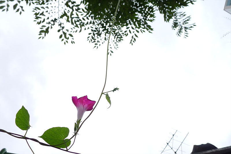 20120823-L1020352.jpg