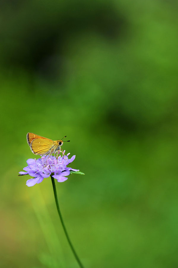 20120816_0212-1.jpg
