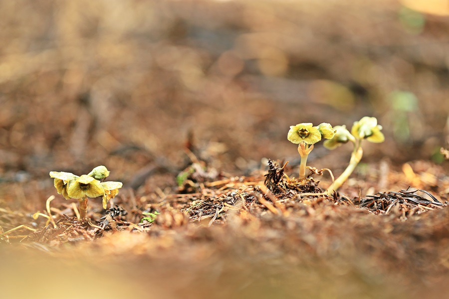 한라천마_6333.jpg