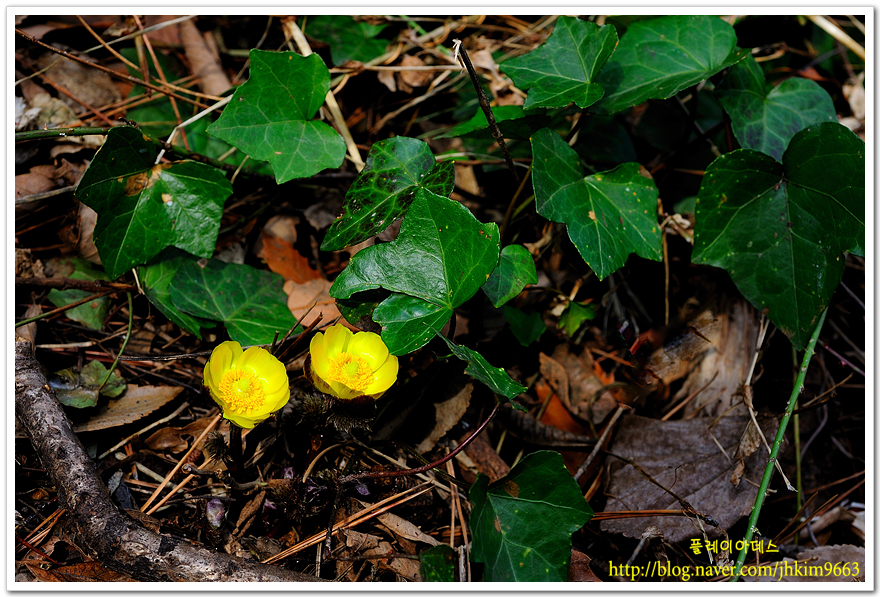 DSC_8043.jpg