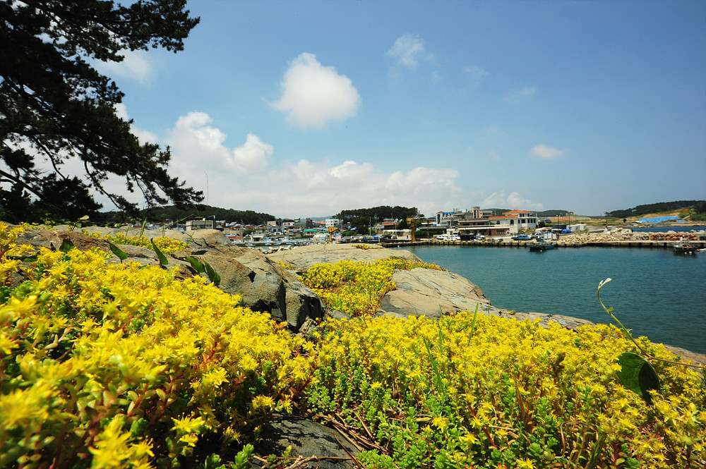 DSC_98721.jpg