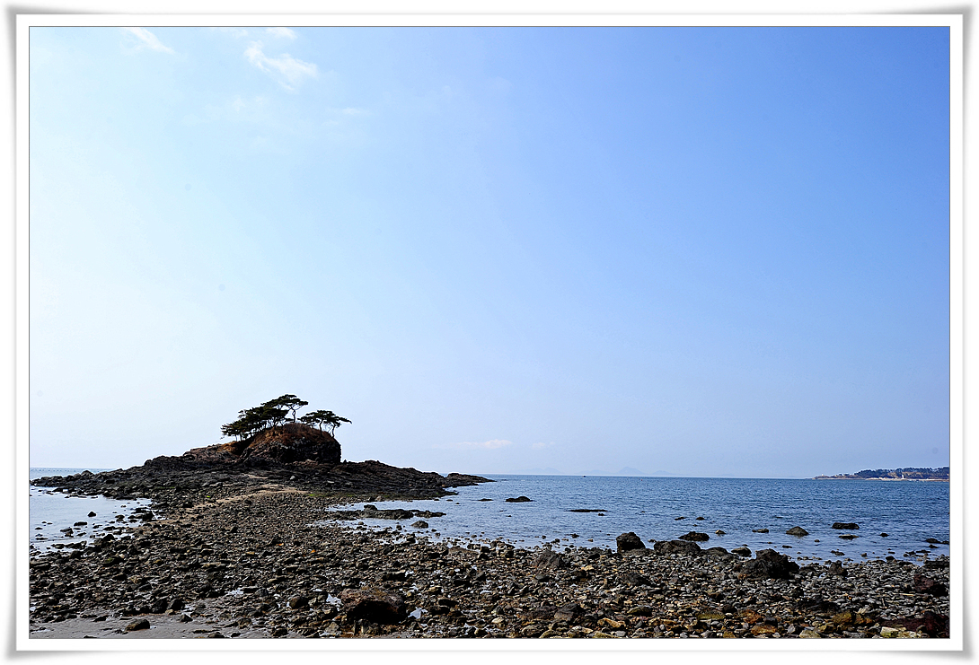 DSC_8992-1.jpg
