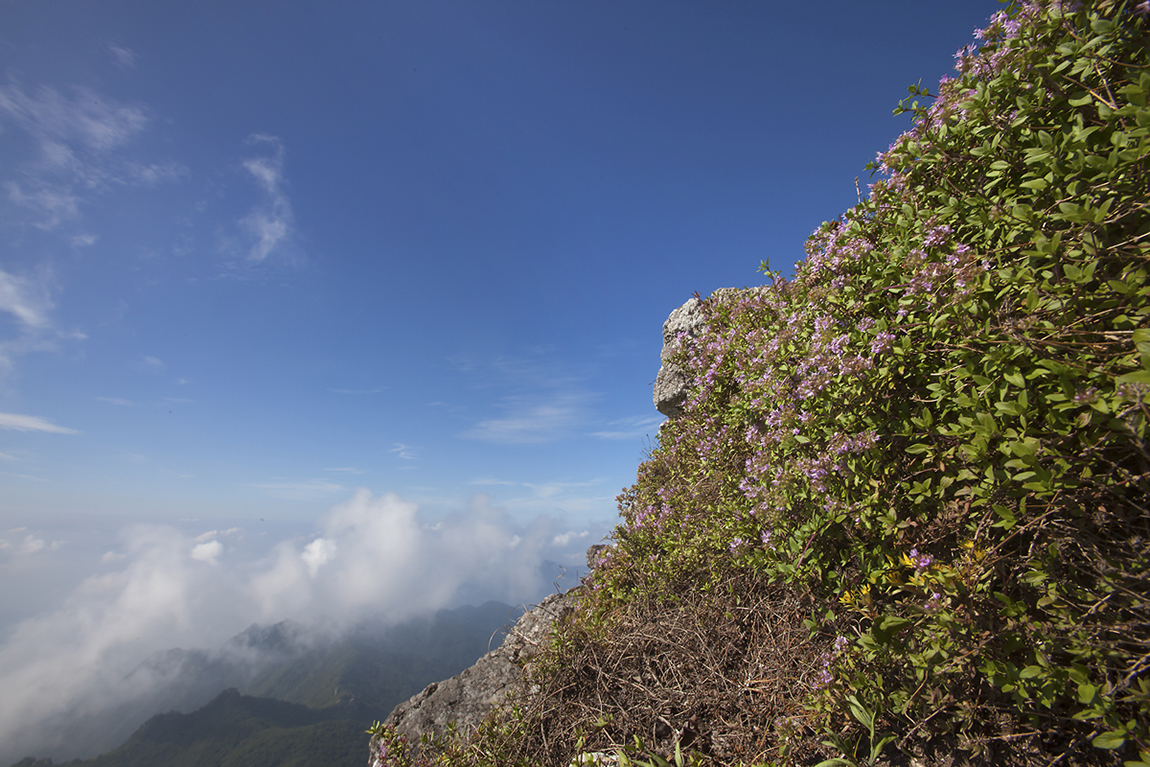 IMG_3490-1150.jpg