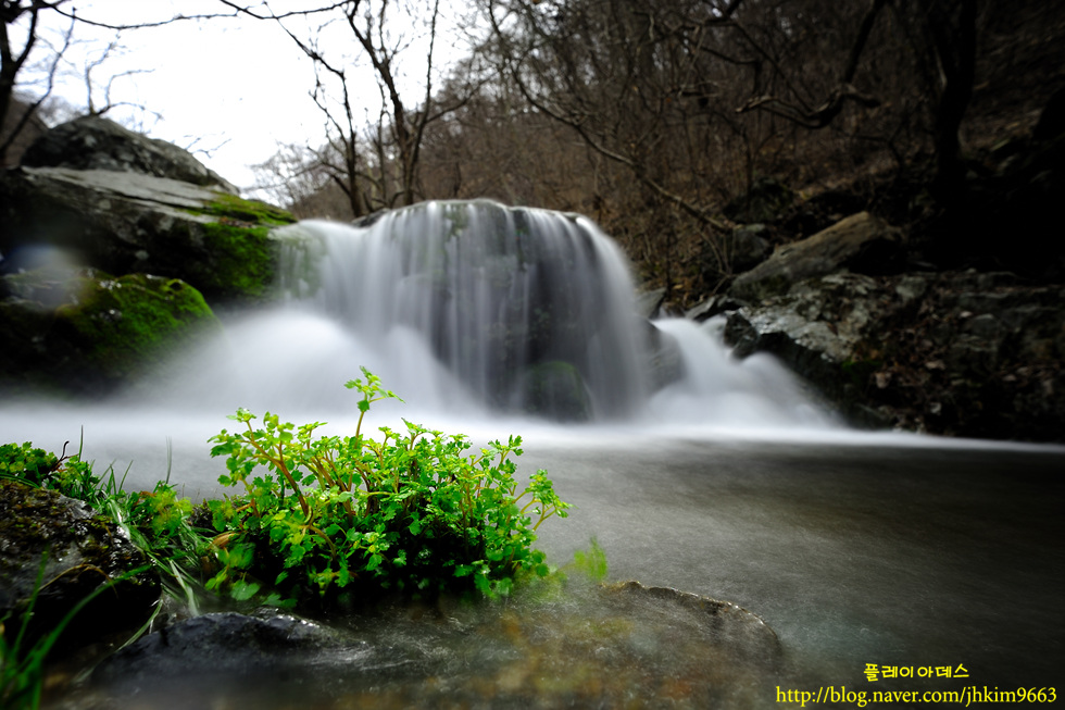 DSC_9877.jpg