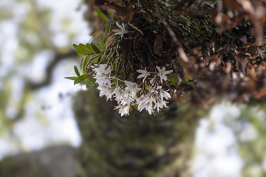 _MG_0108.jpg