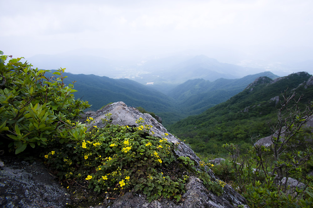 20140727_0118a-1.jpg