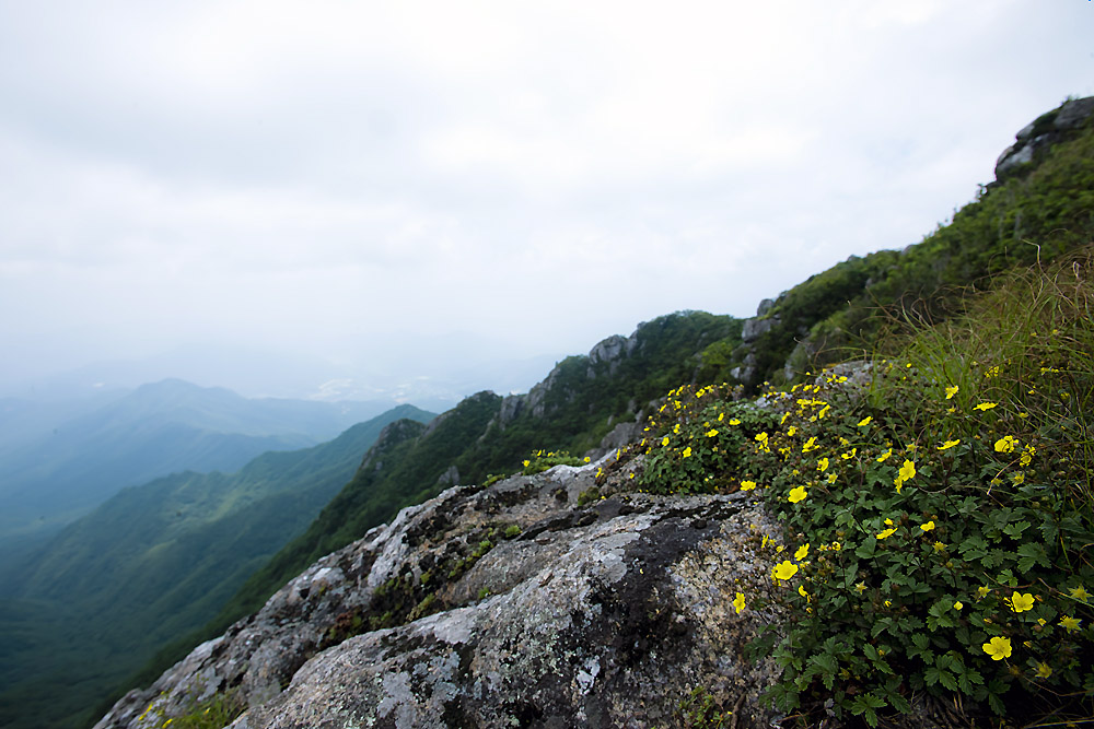 20140727_0115a-1.jpg