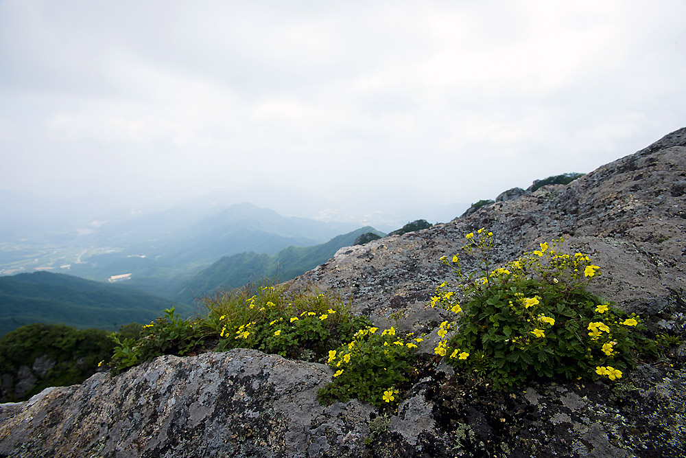 20140727_0116a-1.jpg