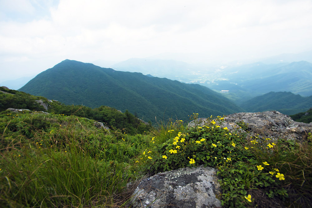 20140727_0196a-1.jpg