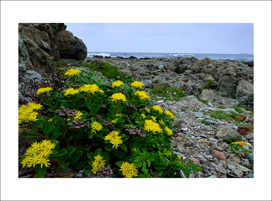 DSC_0331.jpg