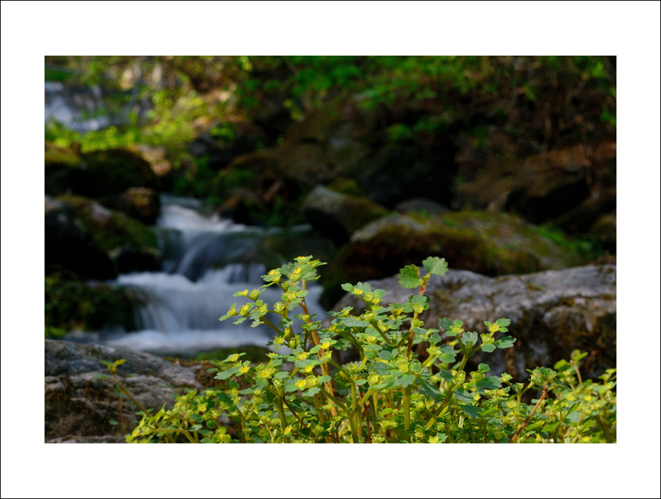 DSC_3035.jpg