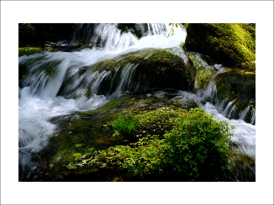 DSC_3208.jpg