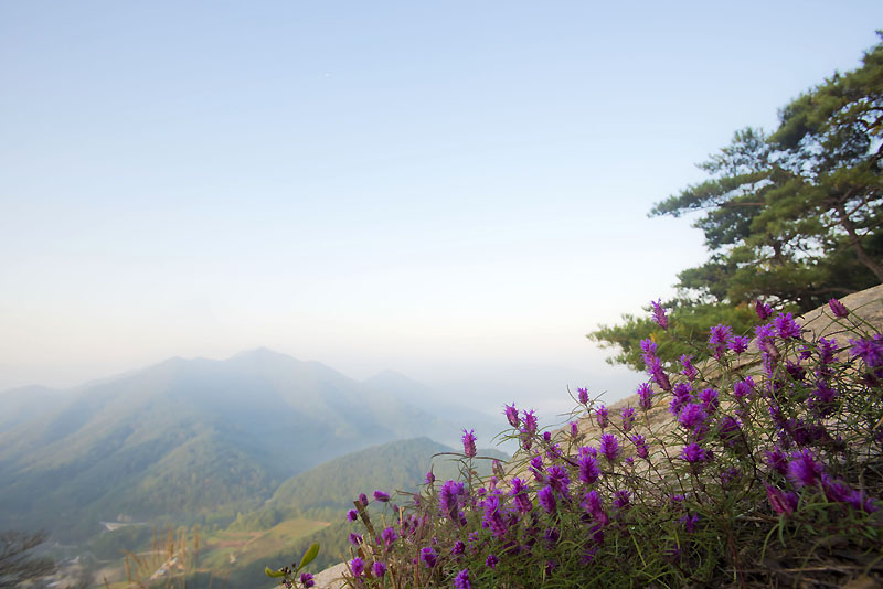 20131013_0028a-1.jpg
