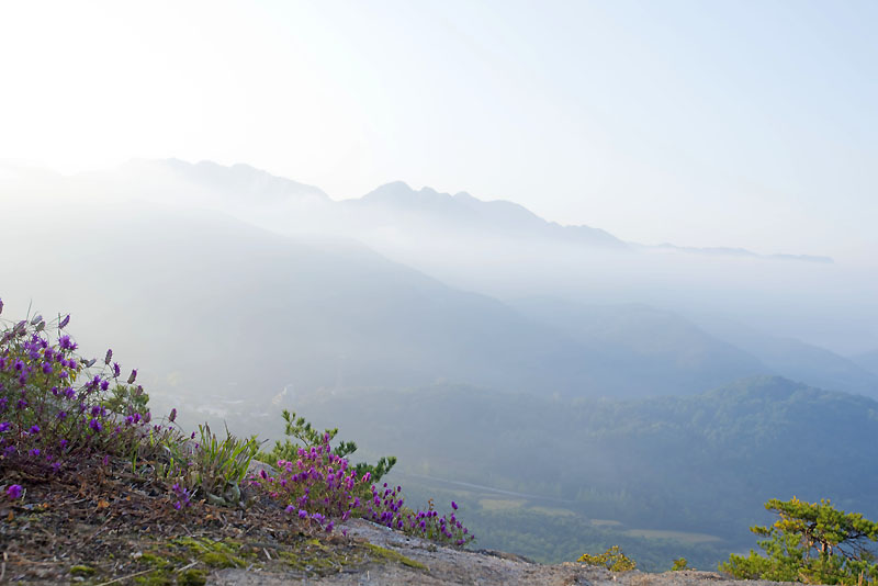 20131013_0050a-1.jpg