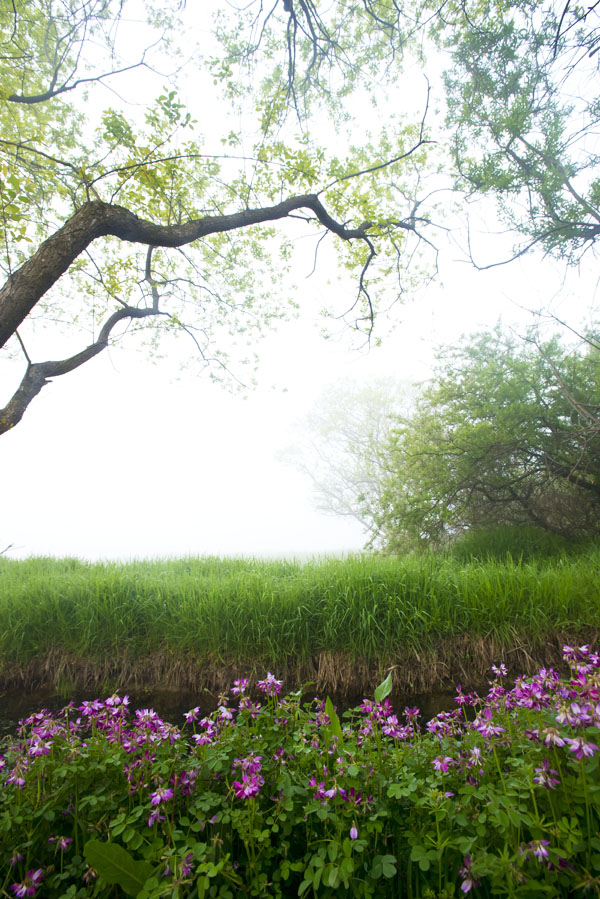 20130428_0142a-1.jpg
