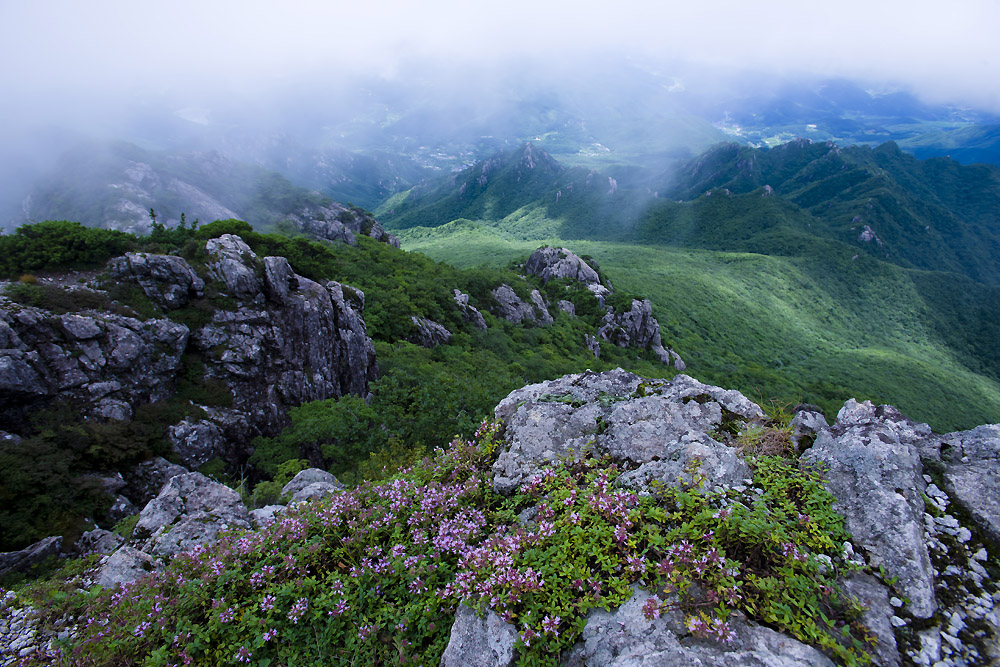 20140810_0087a-1.jpg