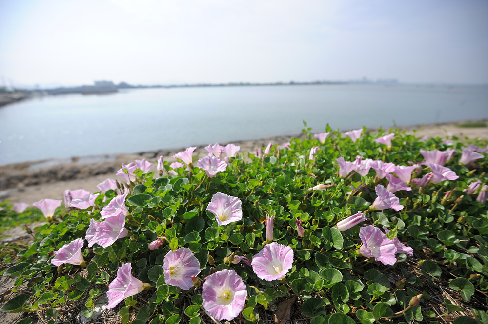 DSC_7110.jpg
