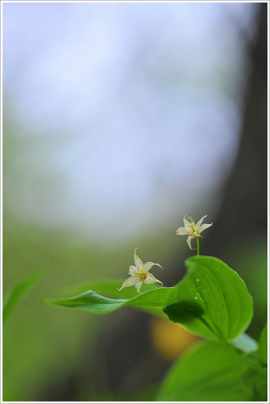 DSC_0643.jpg