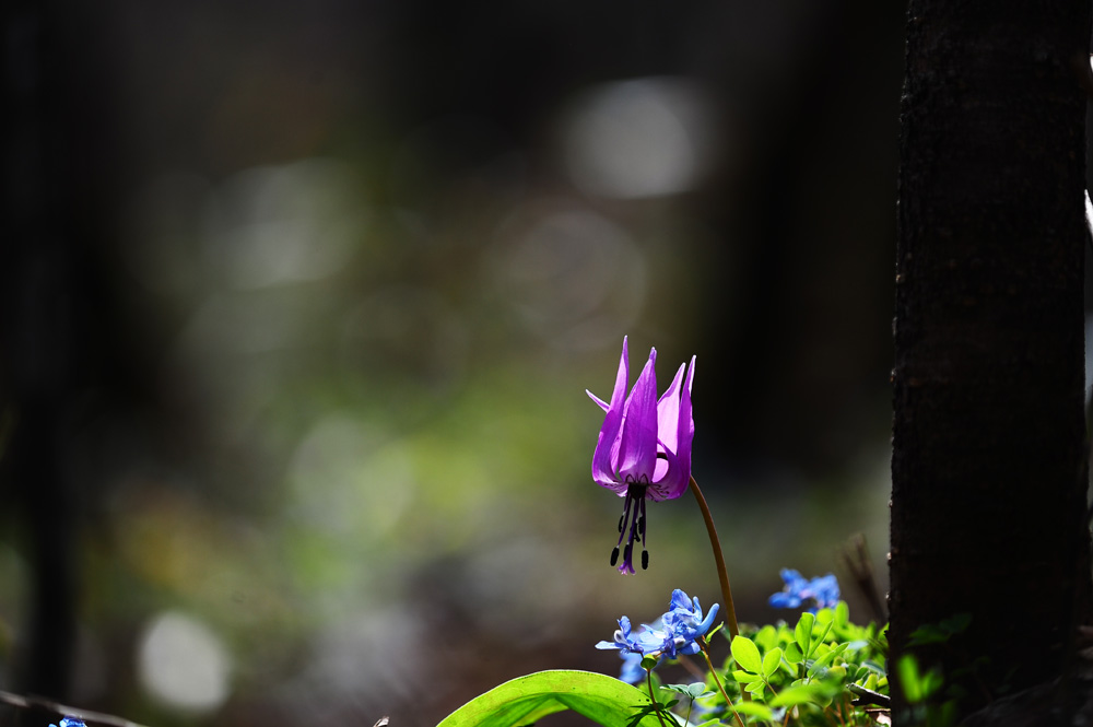 DSC_6216-1.jpg