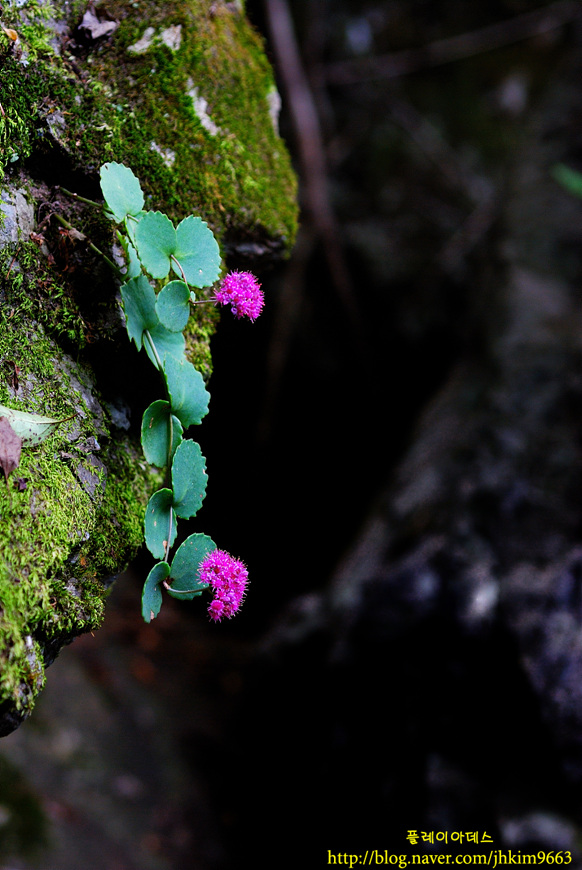 DSC_9012.jpg