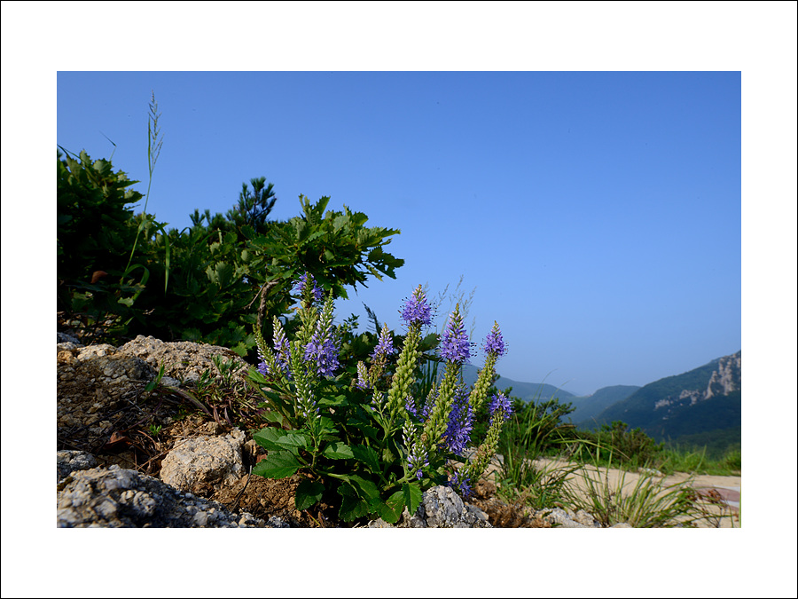 DSC_9159.jpg