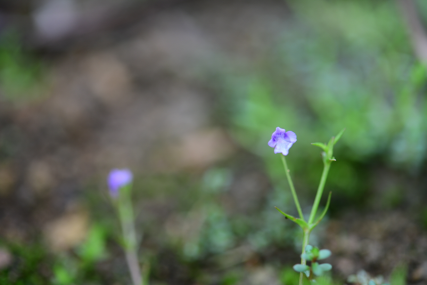 크기변환_DSC_1803.JPG