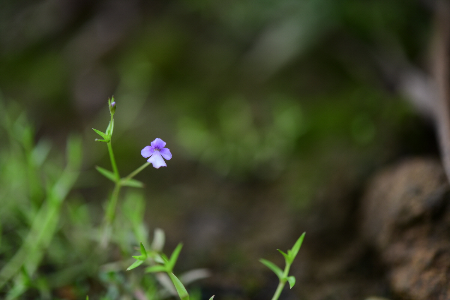 크기변환_DSC_1843.JPG
