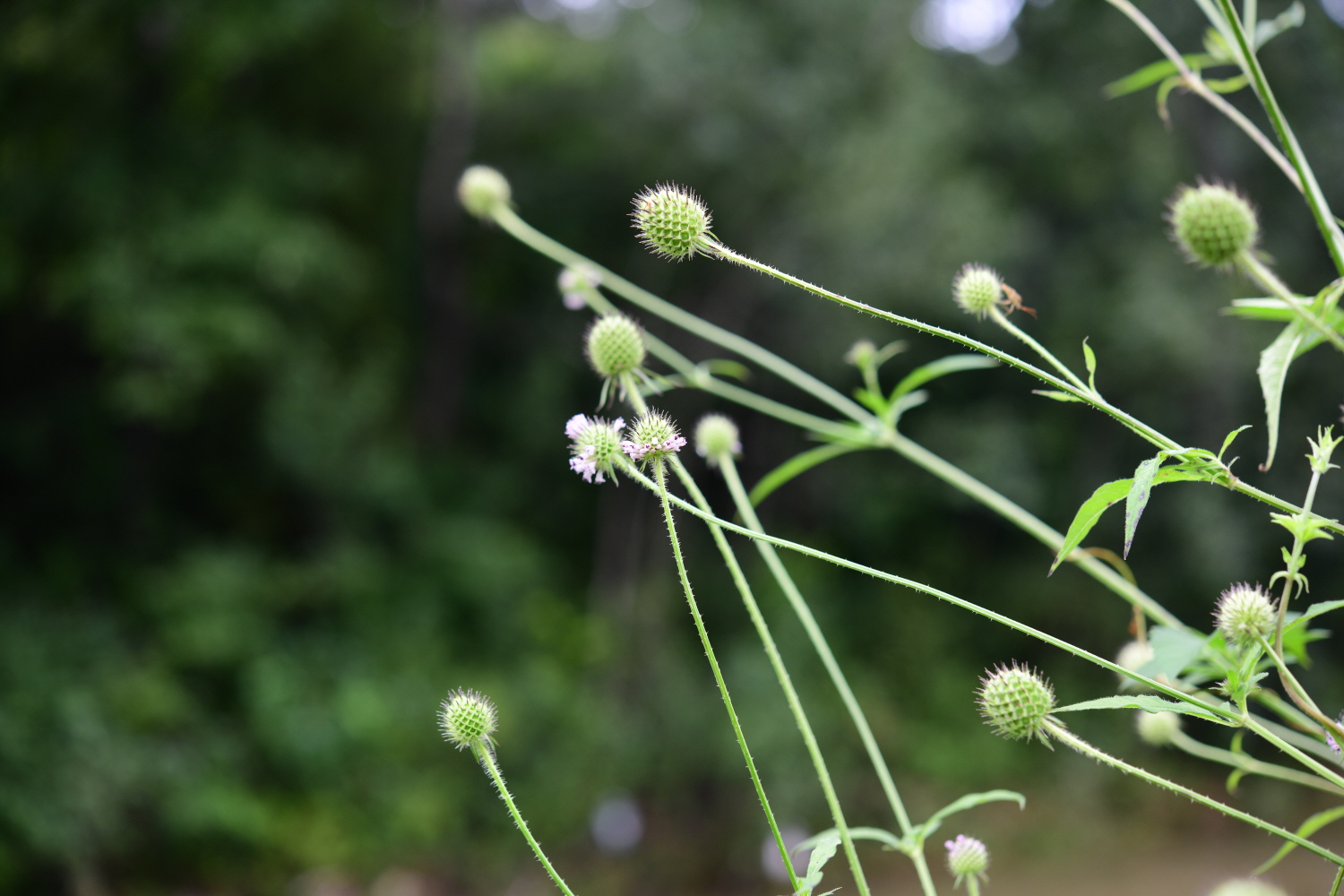크기변환_DSC_6890.JPG